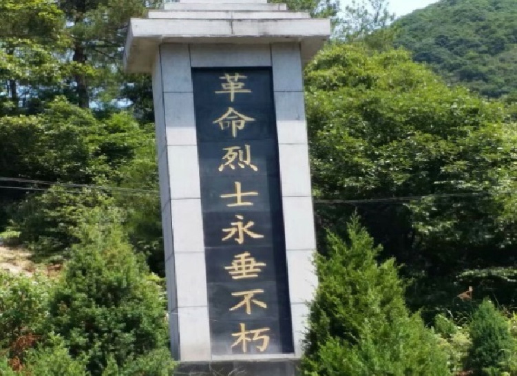 亚洲曰本无码ⅴa一区二区三区