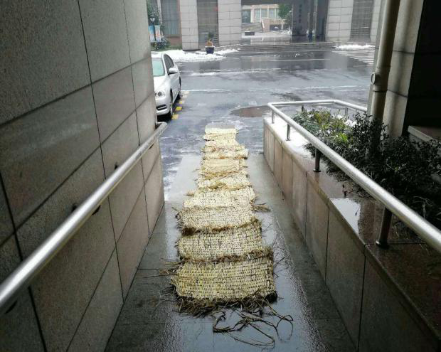 亚洲曰本无码ⅴa一区二区三区