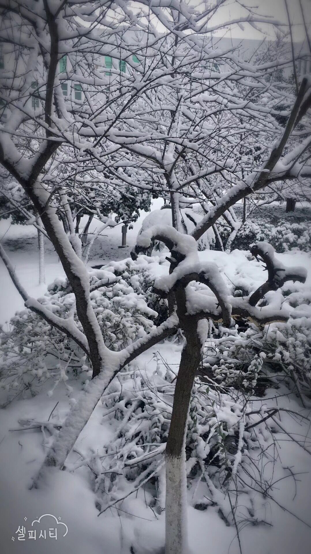亚洲曰本无码ⅴa一区二区三区