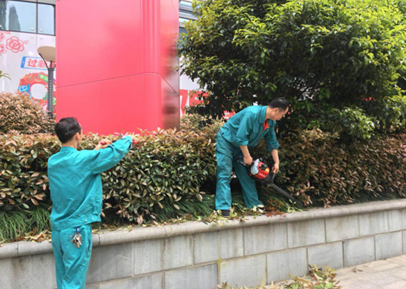 亚洲曰本无码ⅴa一区二区三区