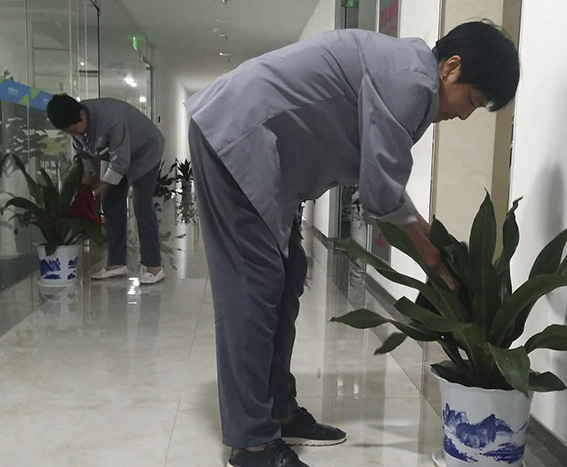 亚洲曰本无码ⅴa一区二区三区
