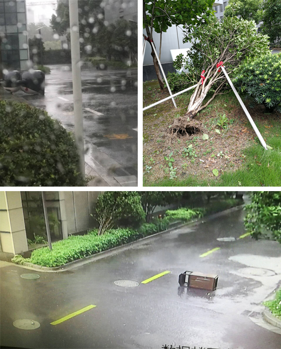 亚洲曰本无码ⅴa一区二区三区