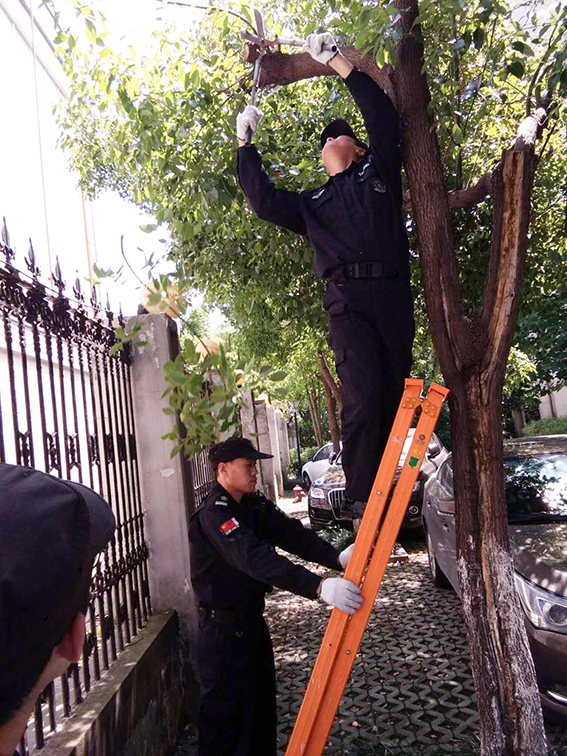 亚洲曰本无码ⅴa一区二区三区