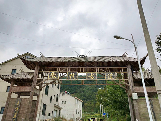 亚洲曰本无码ⅴa一区二区三区