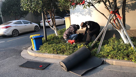 亚洲曰本无码ⅴa一区二区三区