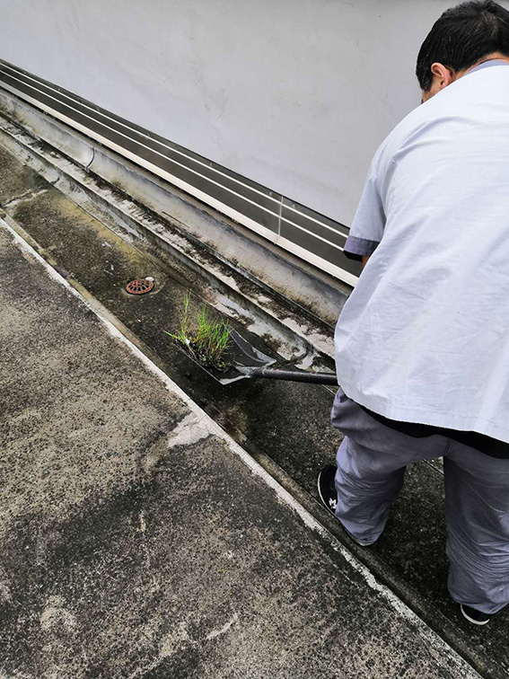 亚洲曰本无码ⅴa一区二区三区
