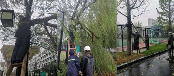 亚洲曰本无码ⅴa一区二区三区